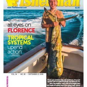 Meet your Posher, Kelly a